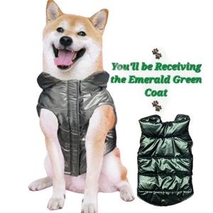 ❄️50% OFF❄️HP🎉 NEW  Emerald Green Reversible Puffy Coat Dogs 🐾Size L...READ ⬇️